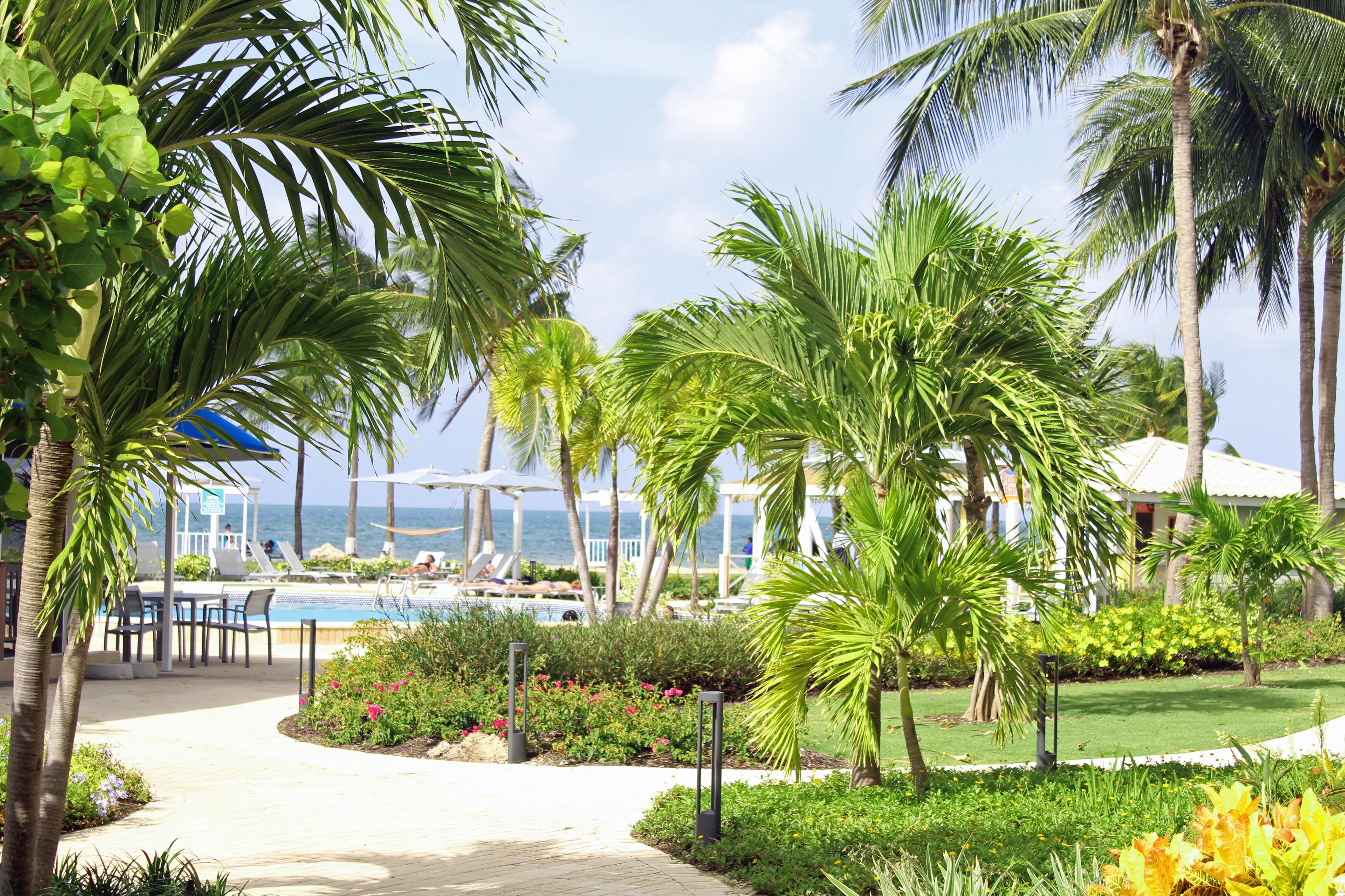 The Grand Caymanian
